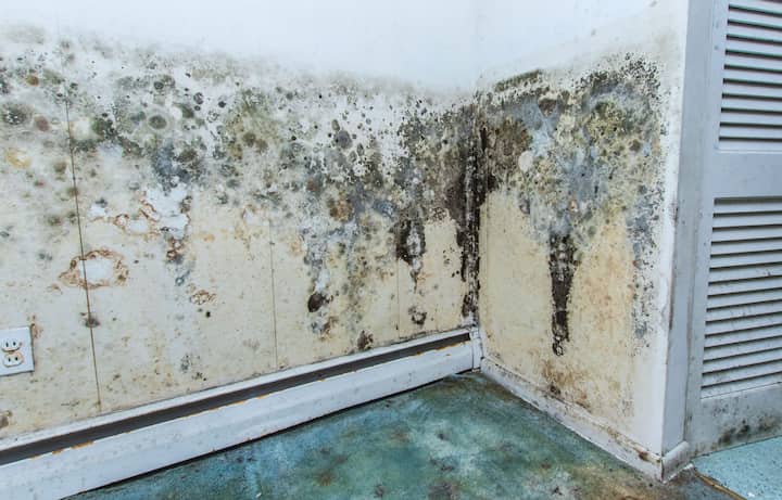 residential mold removal experts in Scottsdale